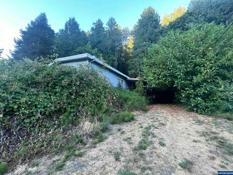 207 E Sjostrom Dr Tidewater OR 97390