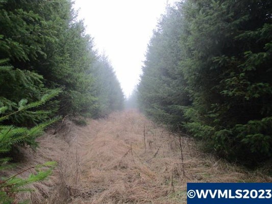 BUCK HOLLOW RD, SHERIDAN, OR 97378 - Image b01ddb91e10b0116d40df78145ba43d1/1990511980