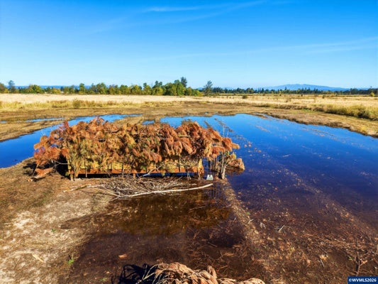LOT 900 DUCKFLAT RD, TURNER, OR 97392 - Image b3789f9dcb27fdf02a69a19a4979ed85/1943866442