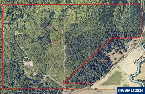 Marys River Rd Blodgett OR 97326