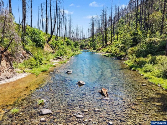 26457 TAYLOR PARK RD SE, LYONS, OR 97358 - Image b76f9d1c0e19f1fcfd974ee67fa1d009/3437397164