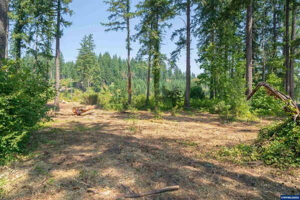 SANTIAM PARK RD SE, LYONS, OR 97358 - Image bcf3c494ea2b7012c7e943a554febb12/3717349200
