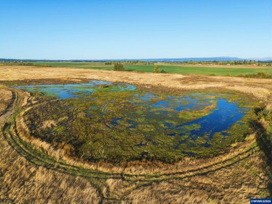DUCKFLAT (TAX LOT:092W160001200) RD, TURNER, OR 97392 - Image be5e980c8b035450e1f7a6568d752102/2102845526