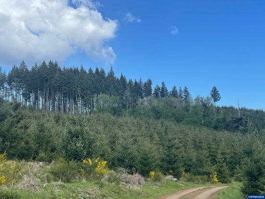 SW ROCK CREEK RD, SHERIDAN, OR 97378 - Image c49b5b072fb2eb3e7dd553a1b31b2f67/3524316085