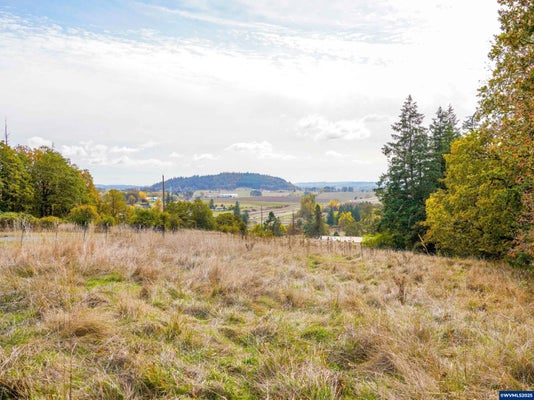 10865 S VIEW LP SE, JEFFERSON, OR 97352 - Image c96e9e4d00fbe876574533666db00705/1494181794