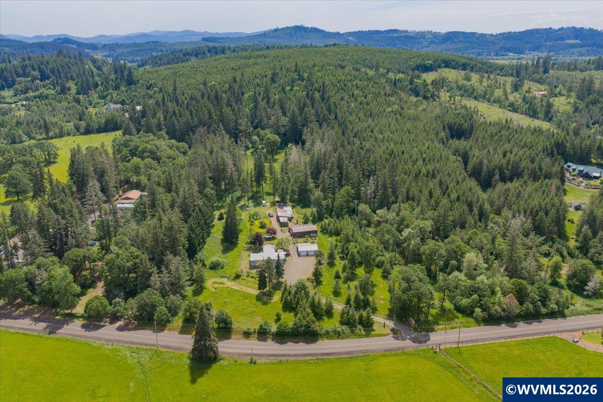 33782 Old Bellinger Scale Rd