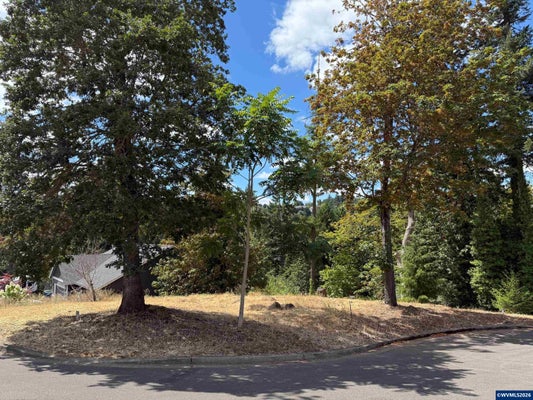 601 TIMBER VIEW ST NW LOT 13, SALEM, OR 97304 - Image d2849f4df9bfcbe2b7045d66a04fc849/1030134968