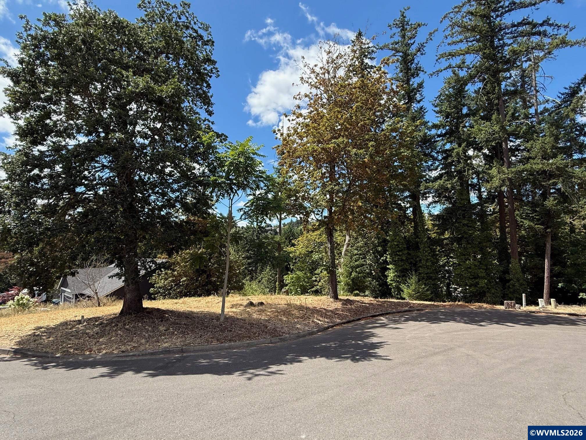 601 Timber View Lot 13 St NW