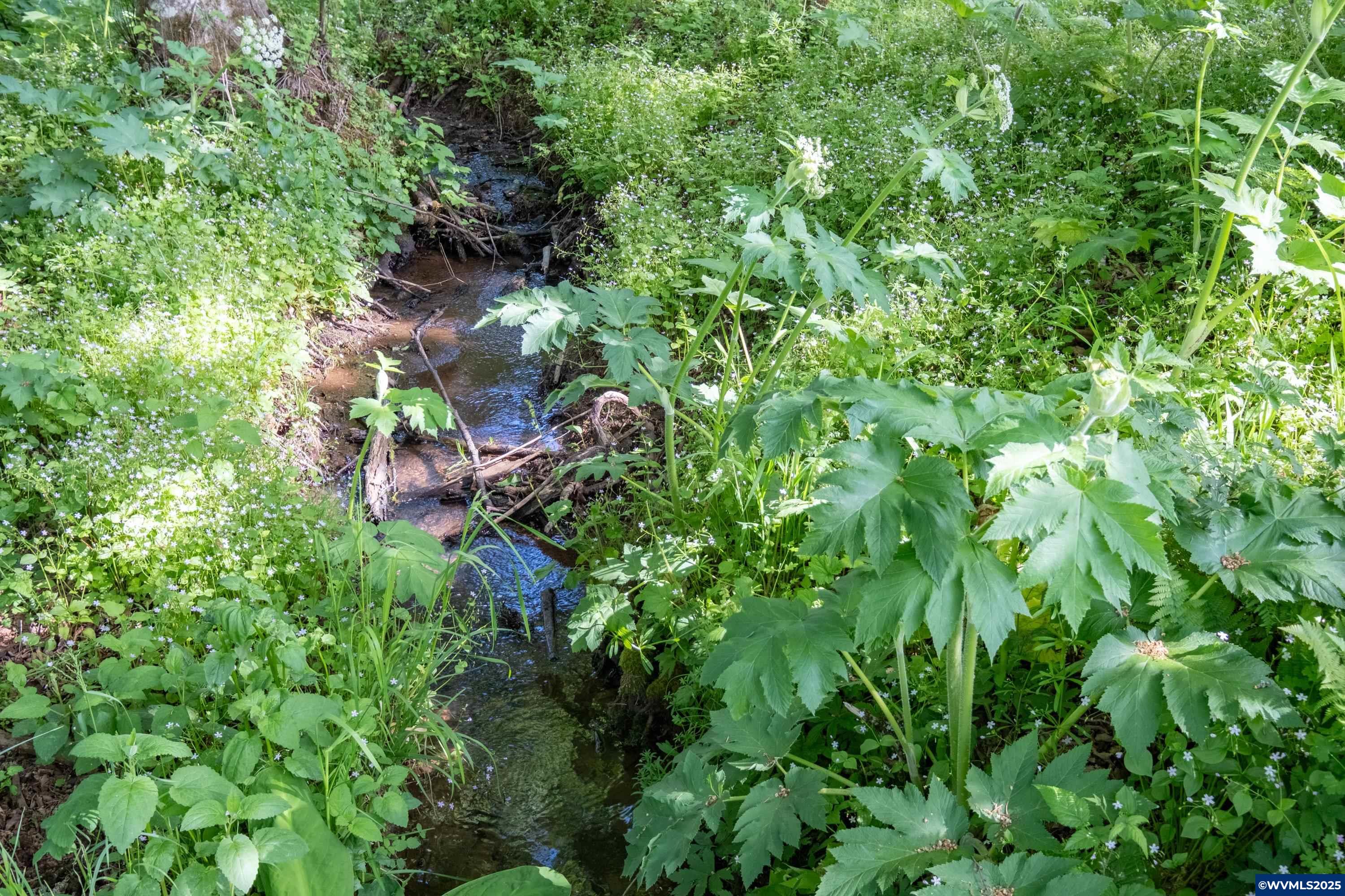 Turner, Oregon 97392, United States, 3 Bedrooms Bedrooms, ,3 BathroomsBathrooms,Residential,Active,35002