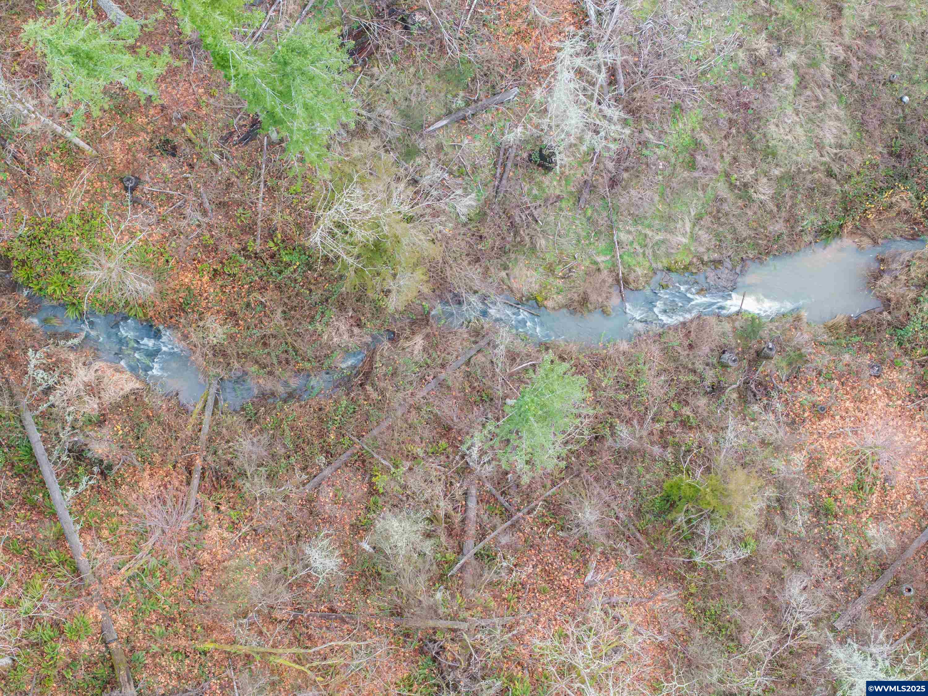 Scotts Mills, Oregon 97375, United States, ,Land,Active,257141