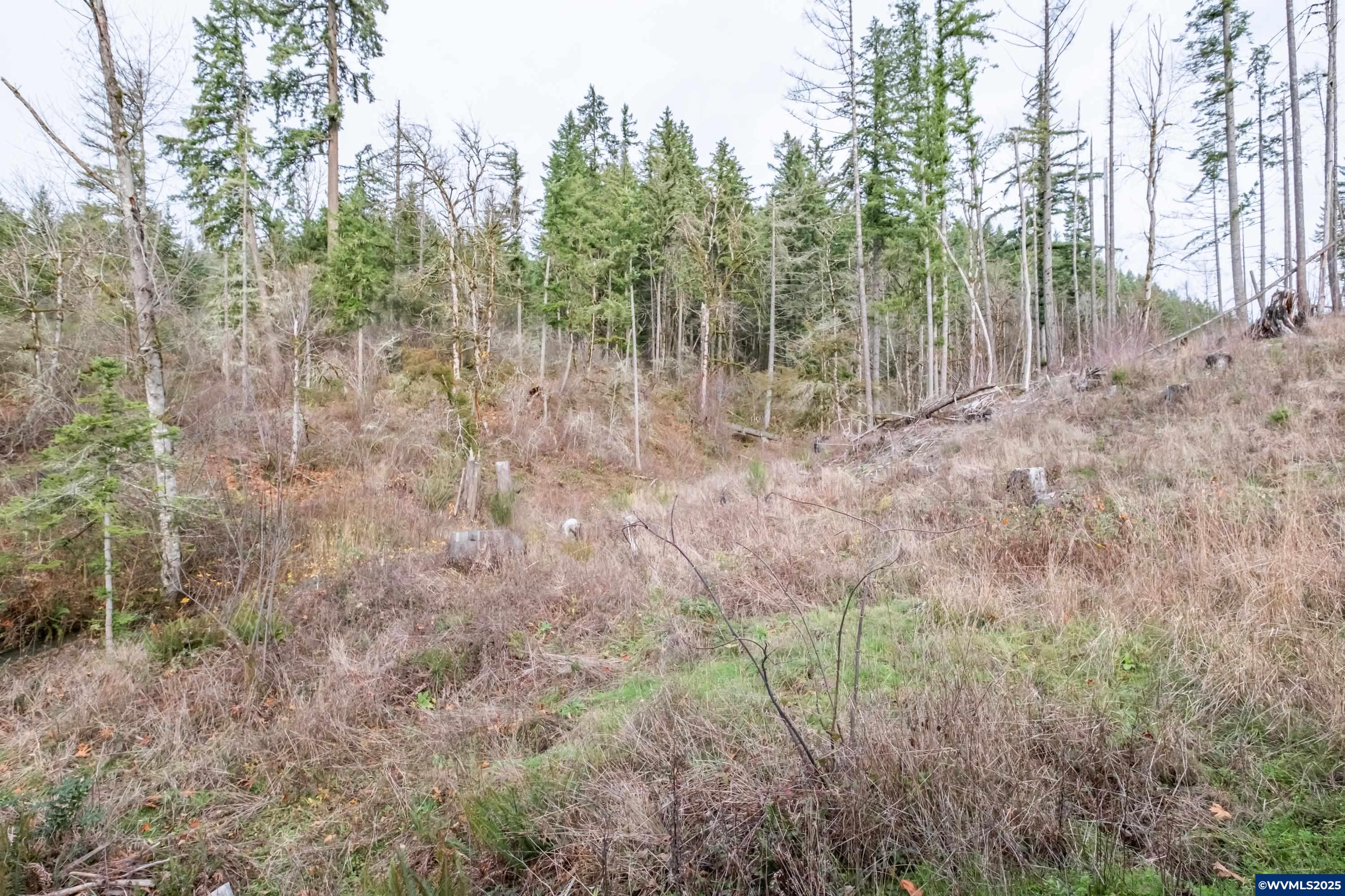 Scotts Mills, Oregon 97375, United States, ,Land,Active,257141