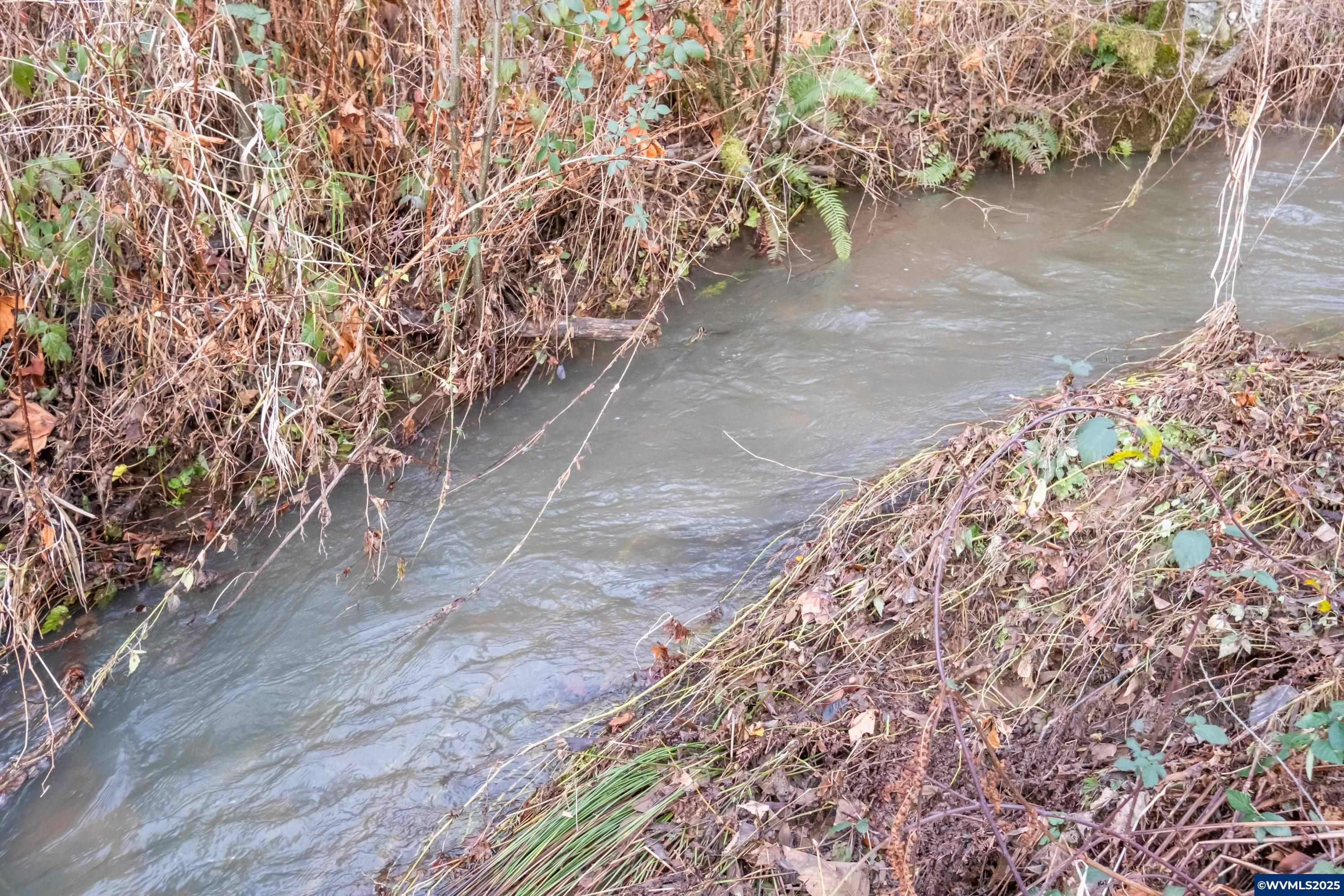 Scotts Mills, Oregon 97375, United States, ,Land,Active,257141