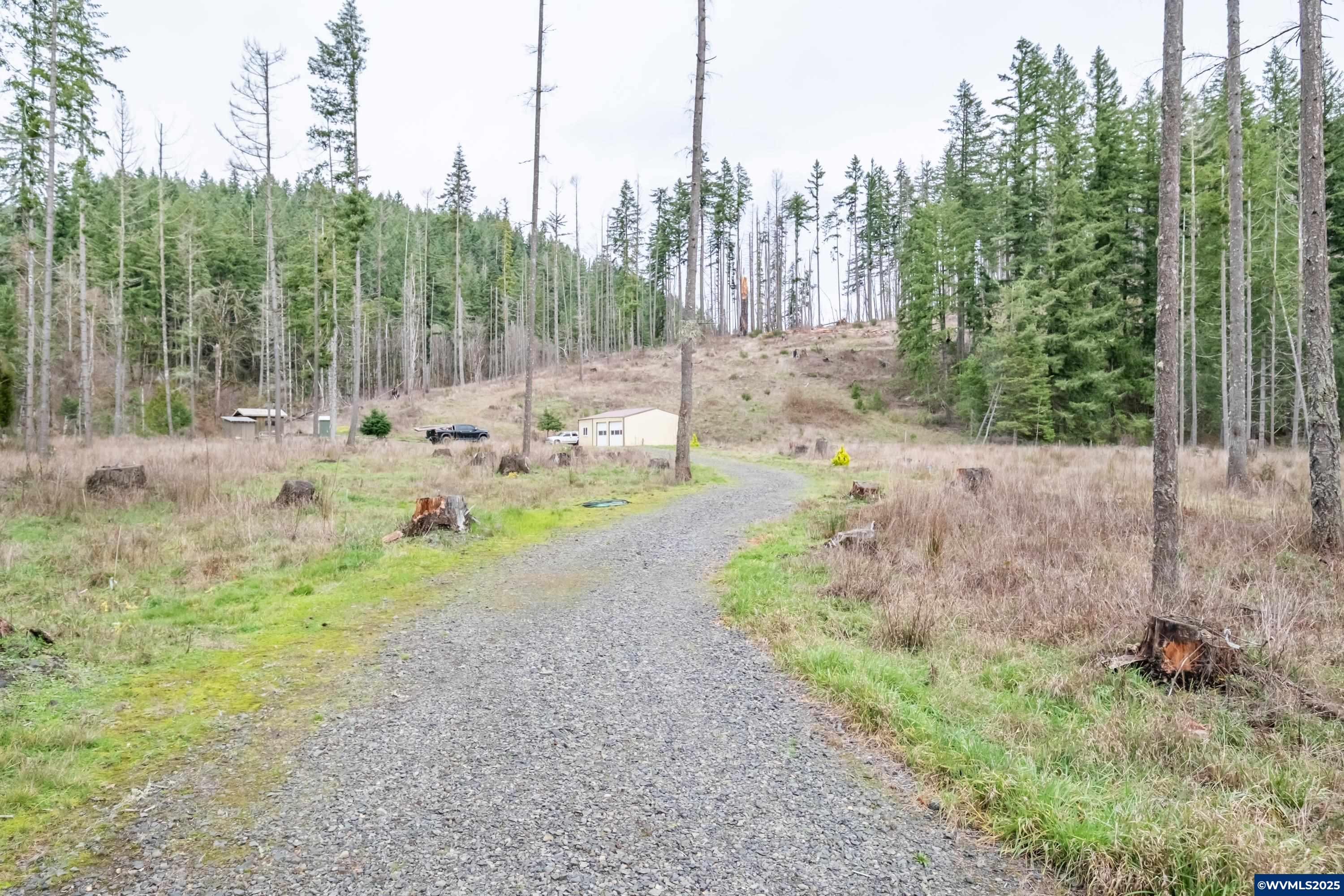 Scotts Mills, Oregon 97375, United States, ,Land,Active,257141