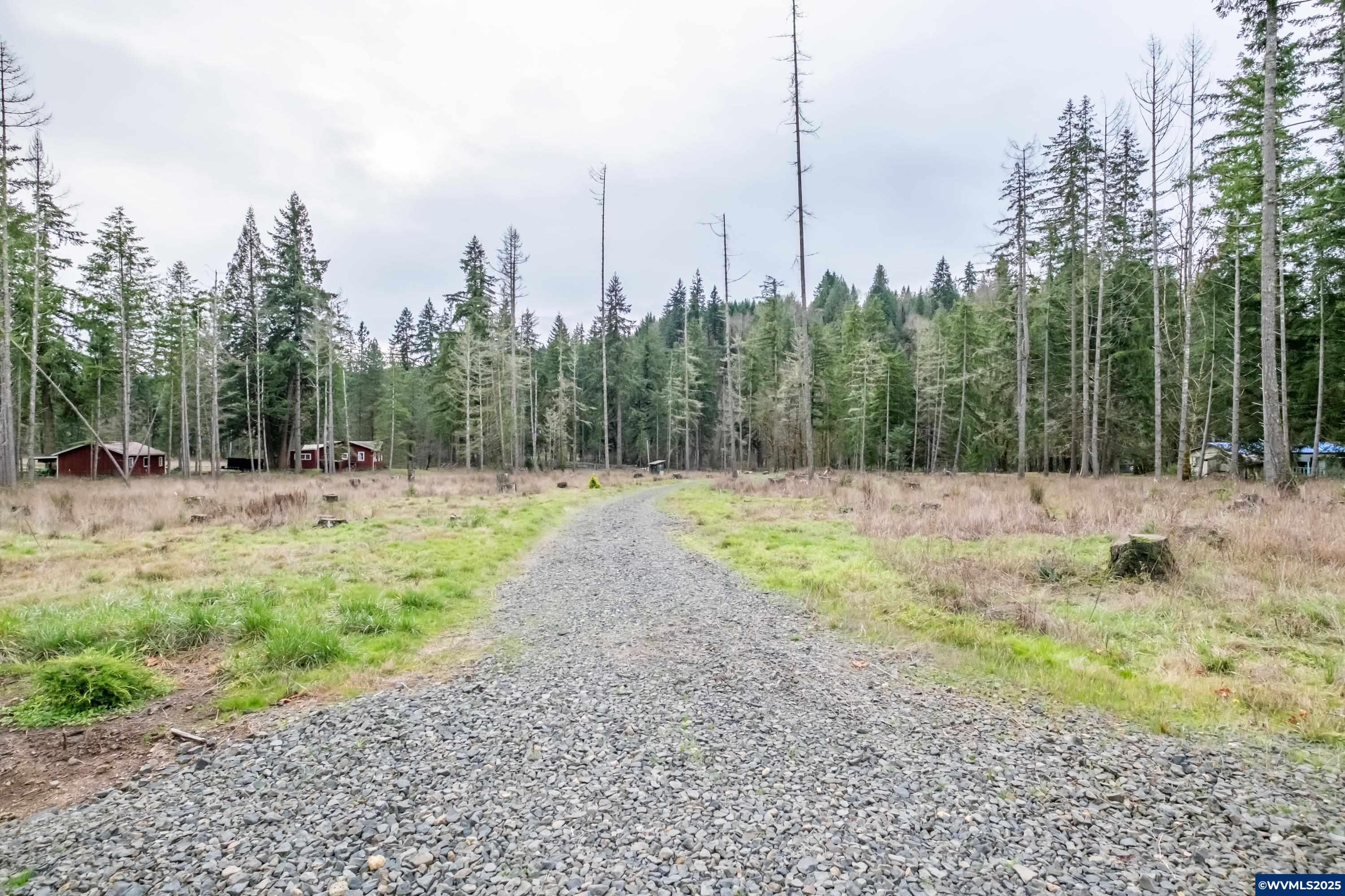 Scotts Mills, Oregon 97375, United States, ,Land,Active,257141