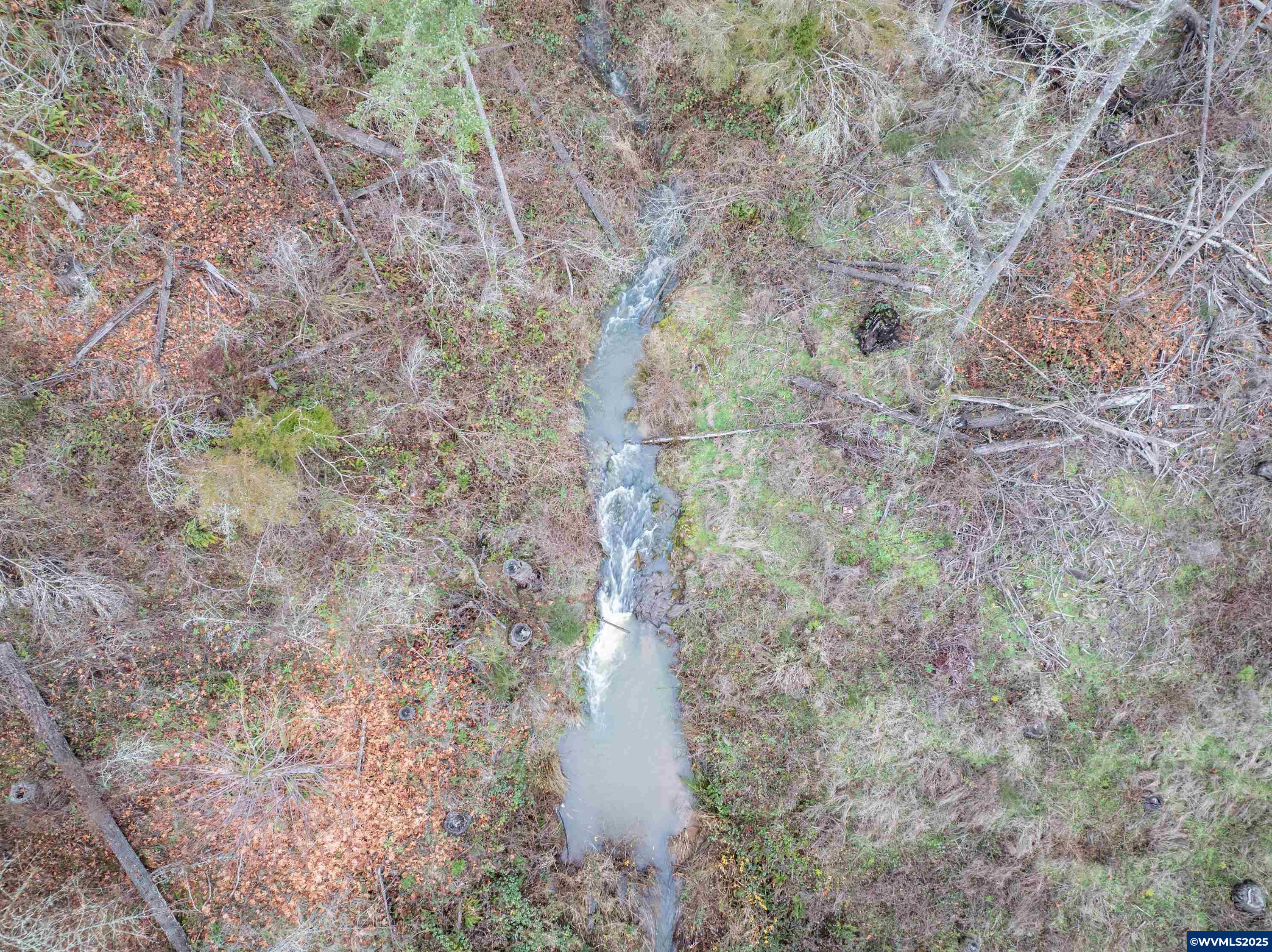 Scotts Mills, Oregon 97375, United States, ,Land,Active,257141