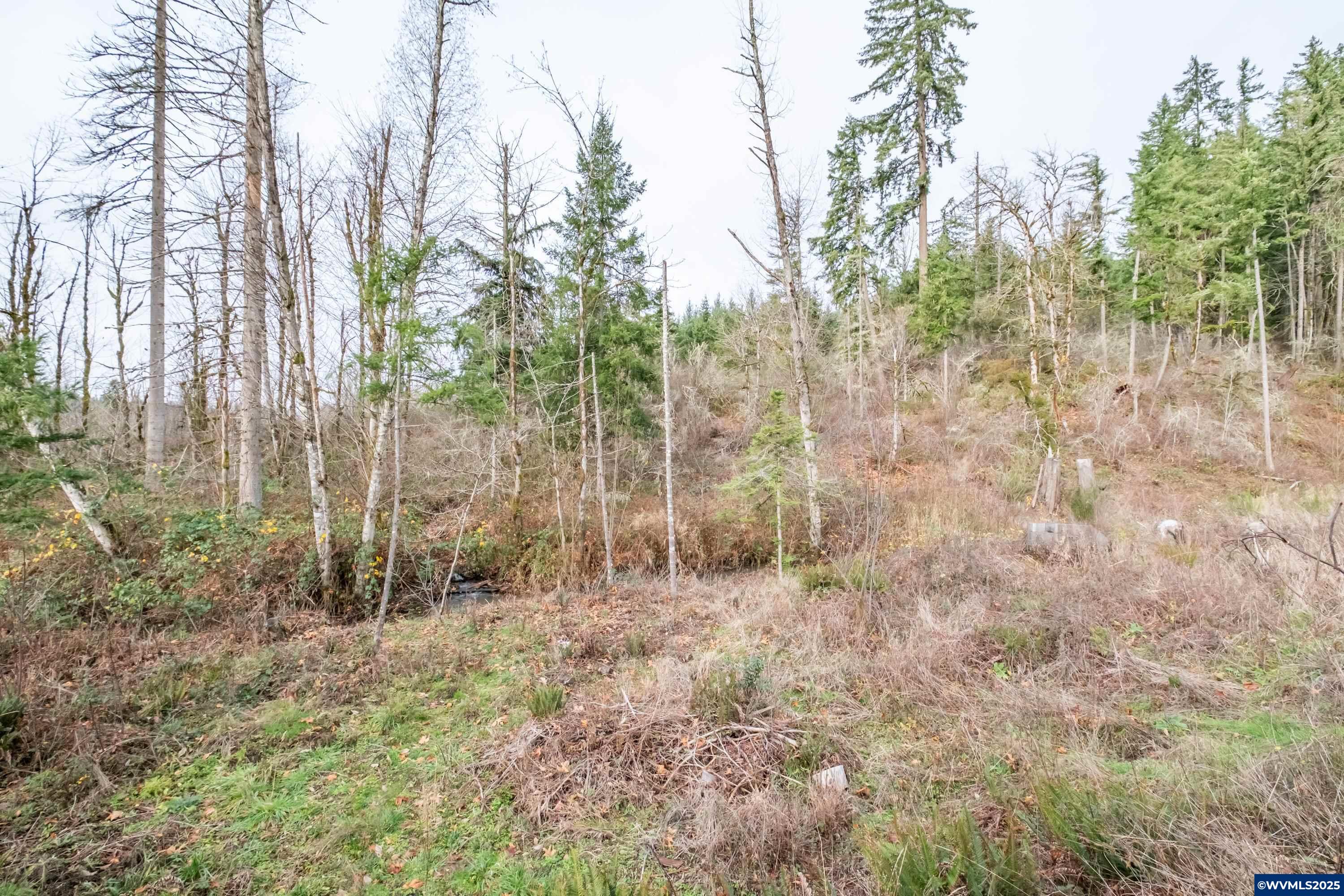 Scotts Mills, Oregon 97375, United States, ,Land,Active,257141