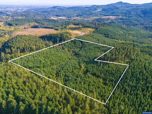 4 NW MEADOW LAKE RD, YAMHILL, OR 97148 - Image d455b9f2ea5eab51b3f8cdfb960a875d/1129762066