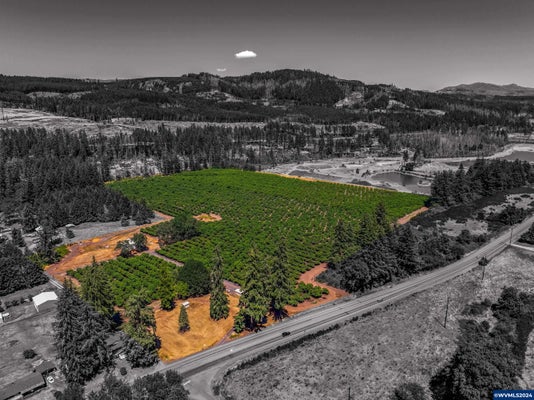 46759 LYONS MILL CITY DR, LYONS, OR 97358 - Image da4a0ea3a9bfa5b5e965eabd096735de/3539775608