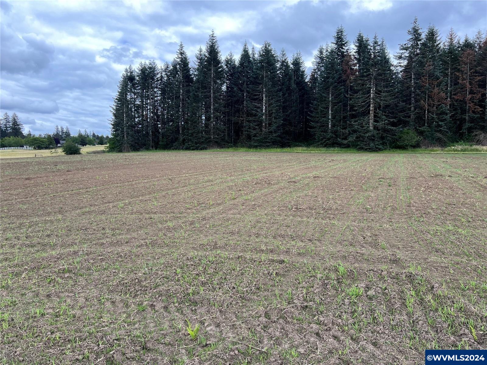 SE 303rd Av