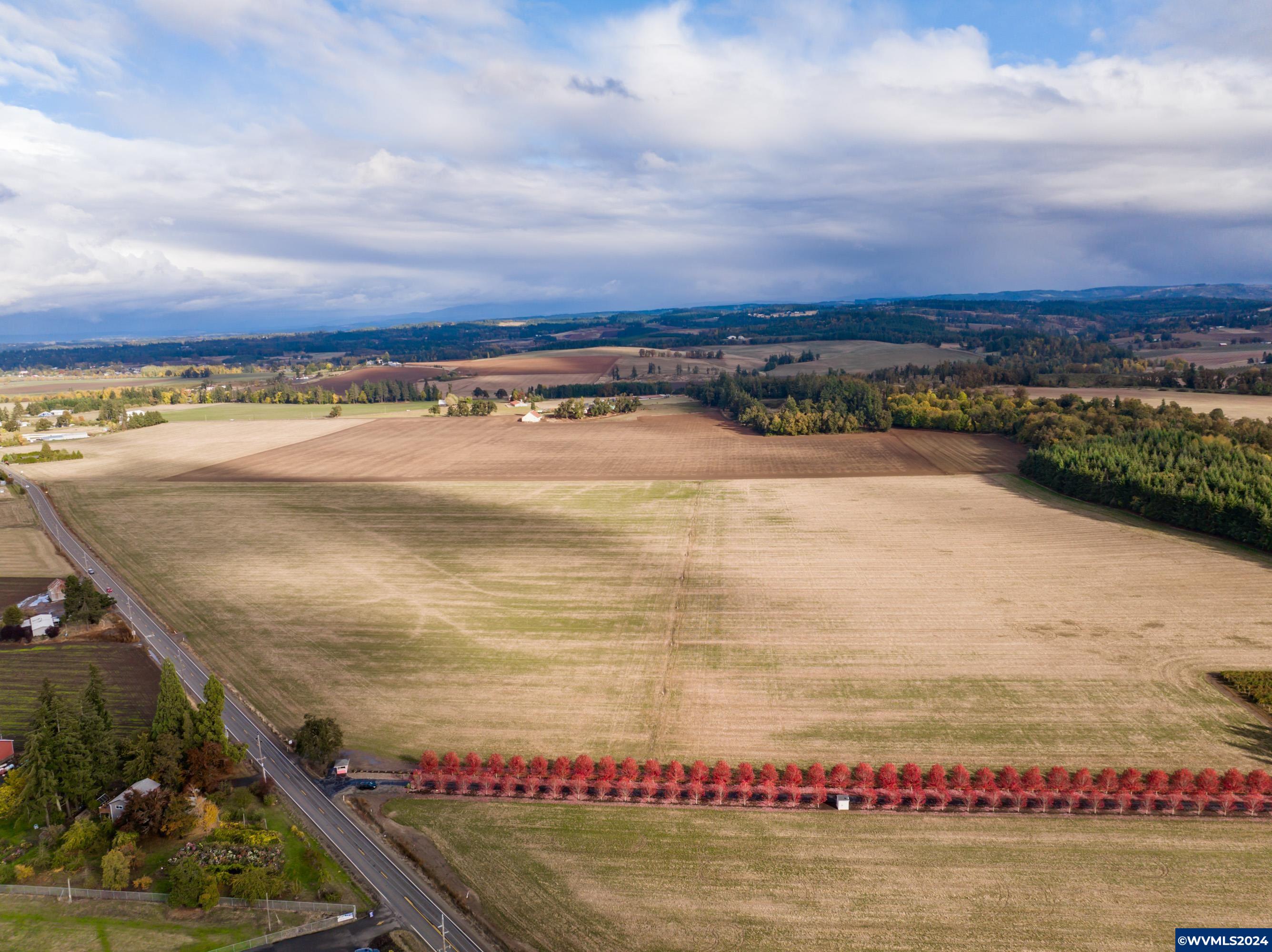 Mt Angel, Oregon 97362, United States, ,Land,Active,37341