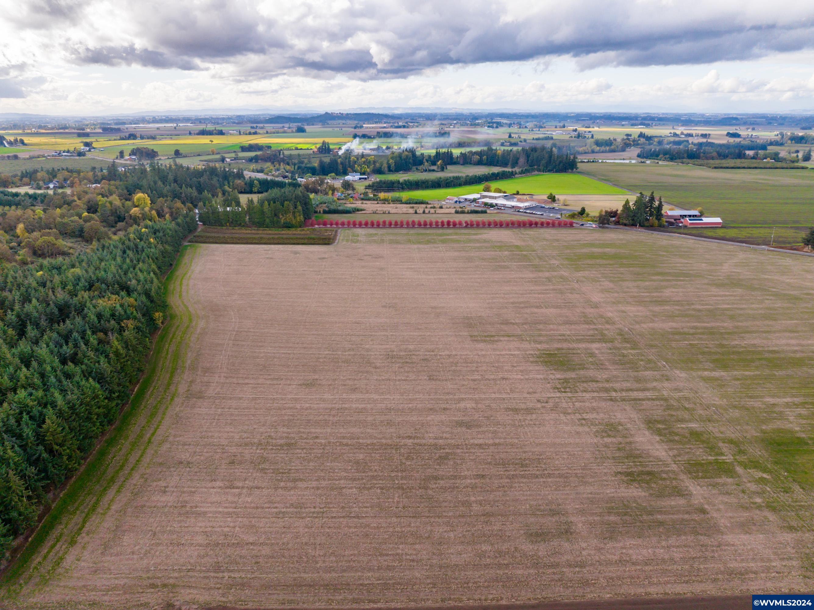 Mt Angel, Oregon 97362, United States, ,Land,Active,37341