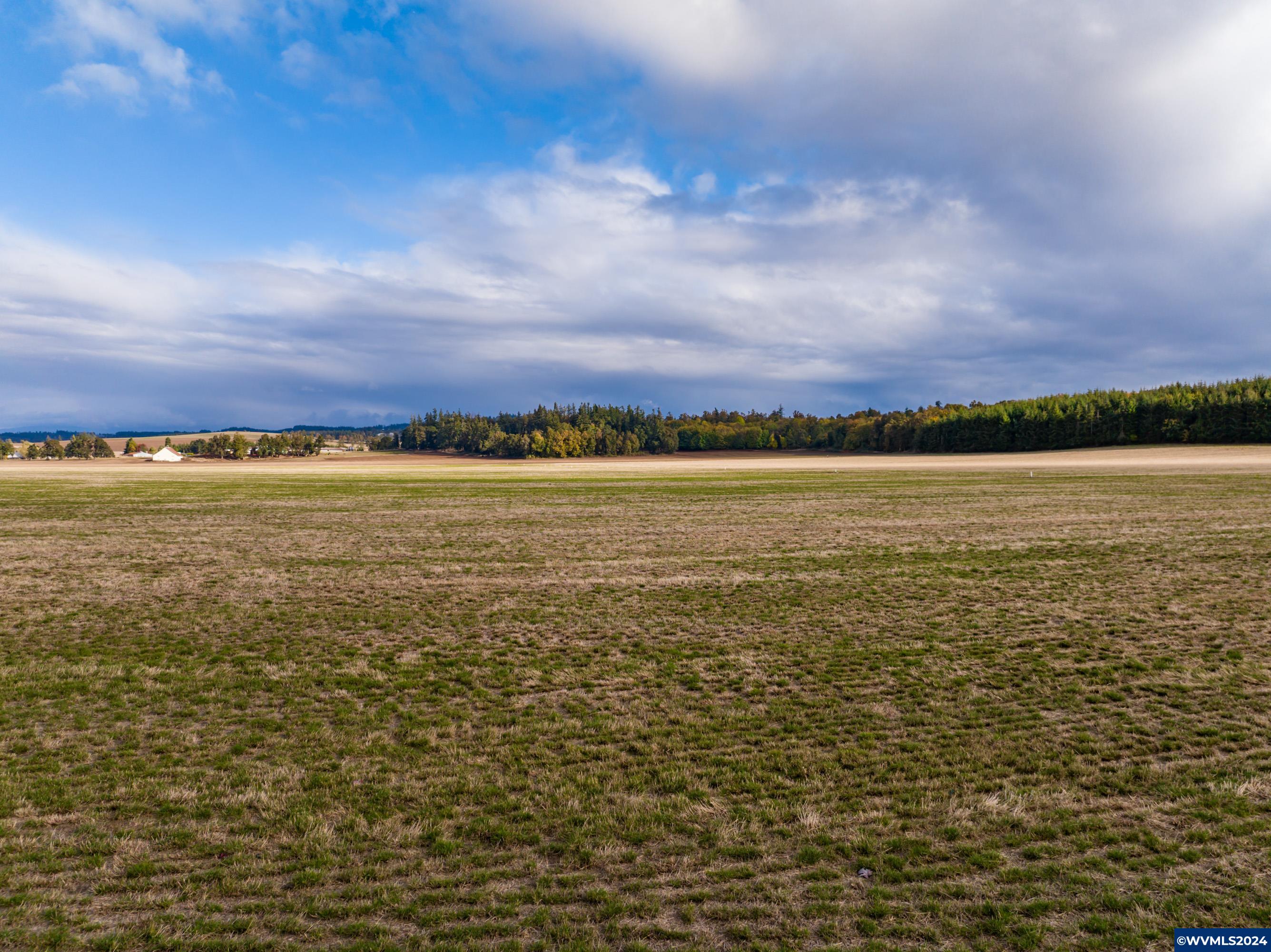 Mt Angel, Oregon 97362, United States, ,Land,Active,37341