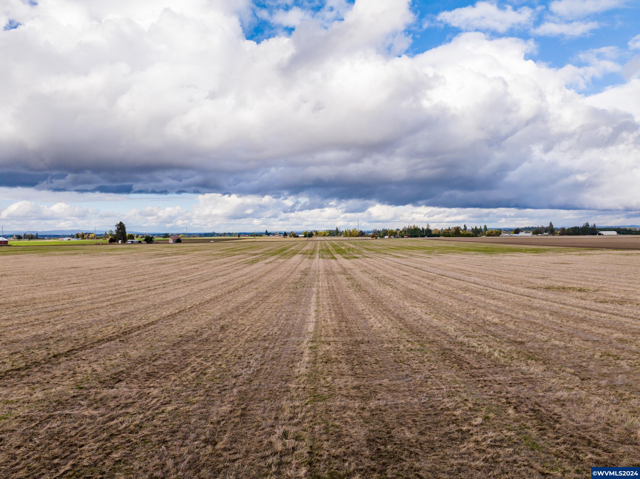 Mt Angel, Oregon 97362, United States, ,Land,Active,37341