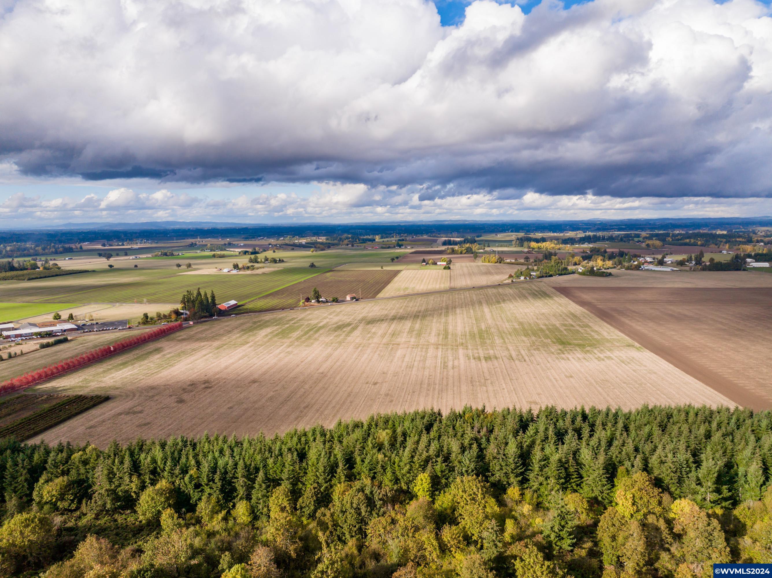 Mt Angel, Oregon 97362, United States, ,Land,Active,37341