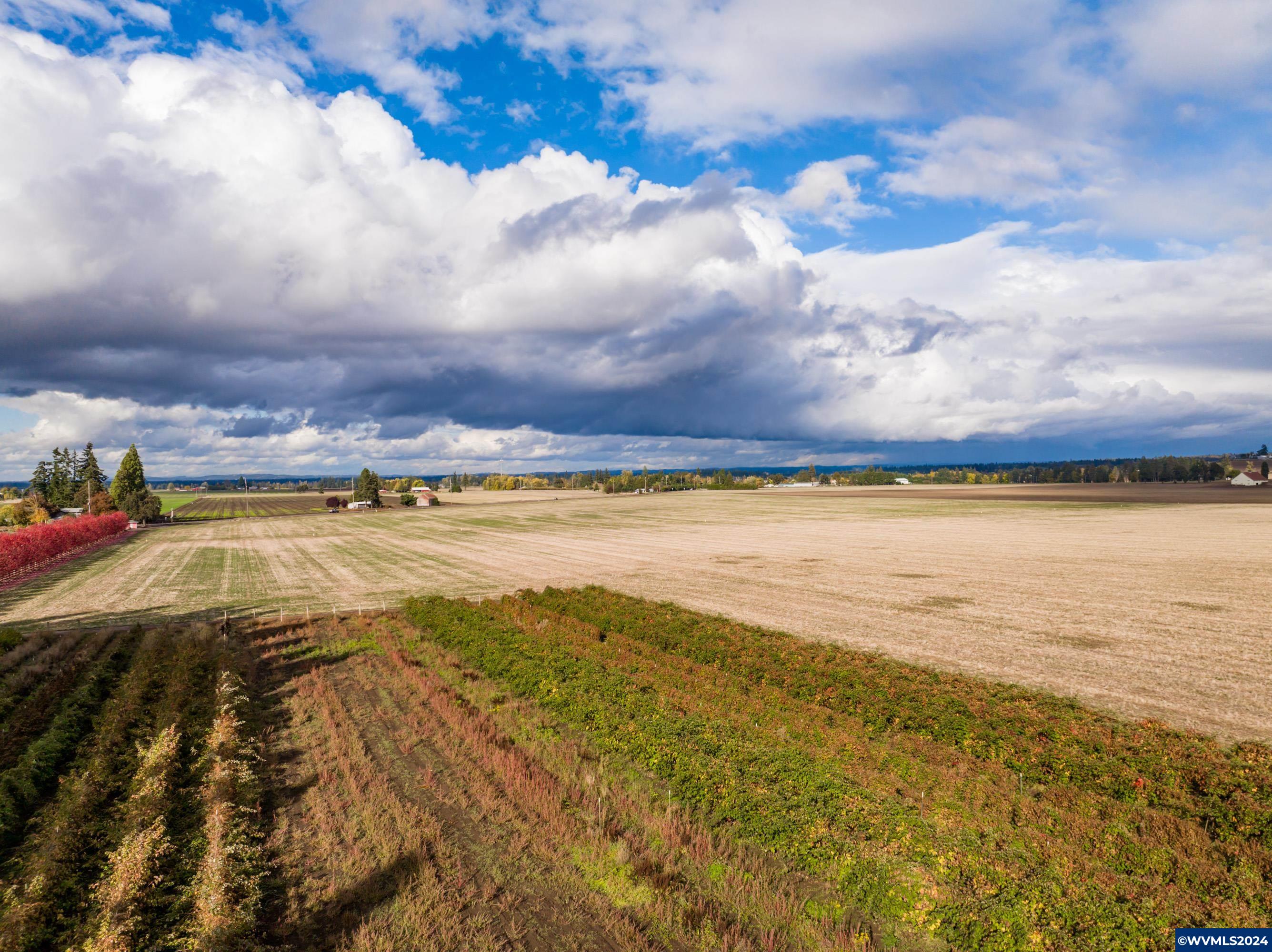Mt Angel, Oregon 97362, United States, ,Land,Active,37341