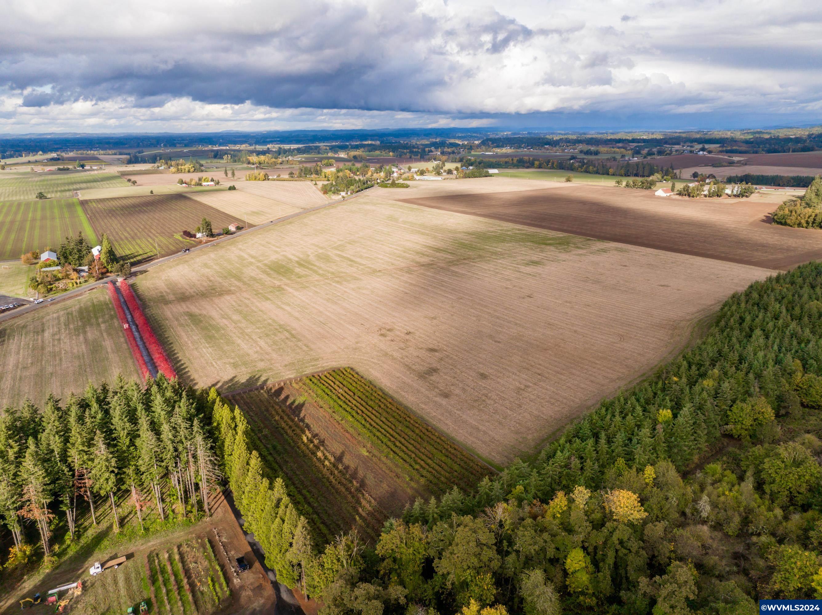 Mt Angel, Oregon 97362, United States, ,Land,Active,37341
