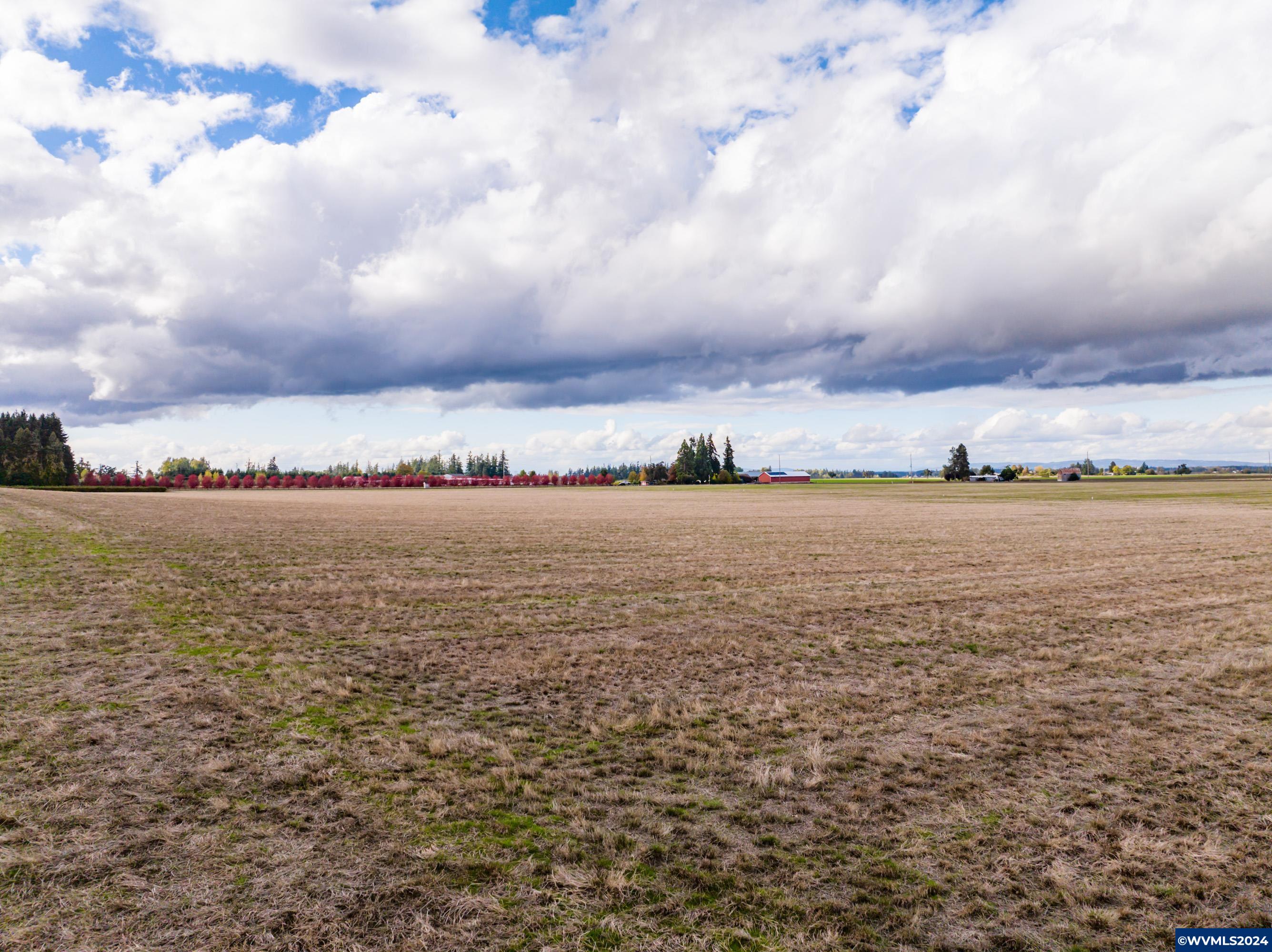 Mt Angel, Oregon 97362, United States, ,Land,Active,37341