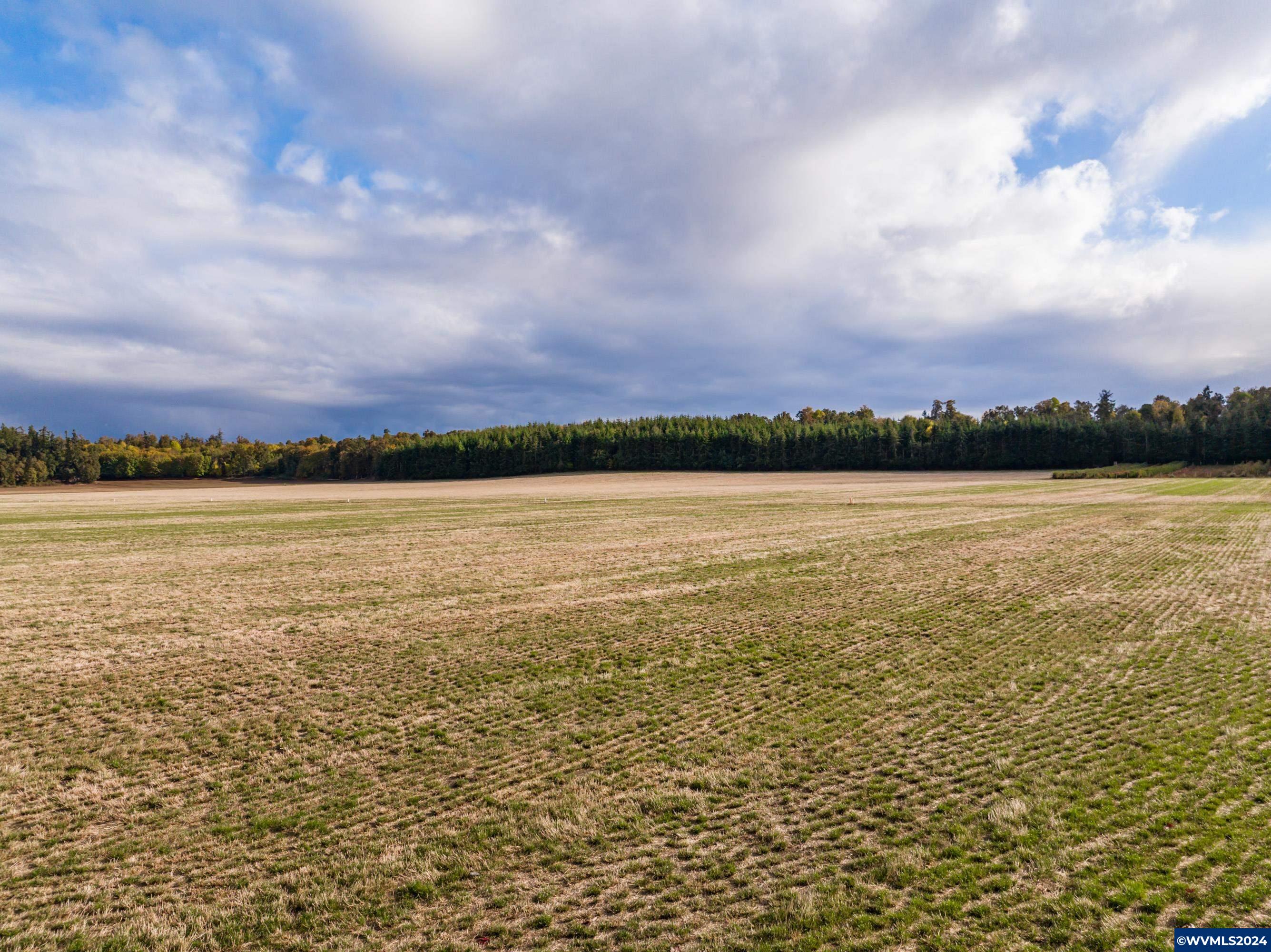 Mt Angel, Oregon 97362, United States, ,Land,Active,37341