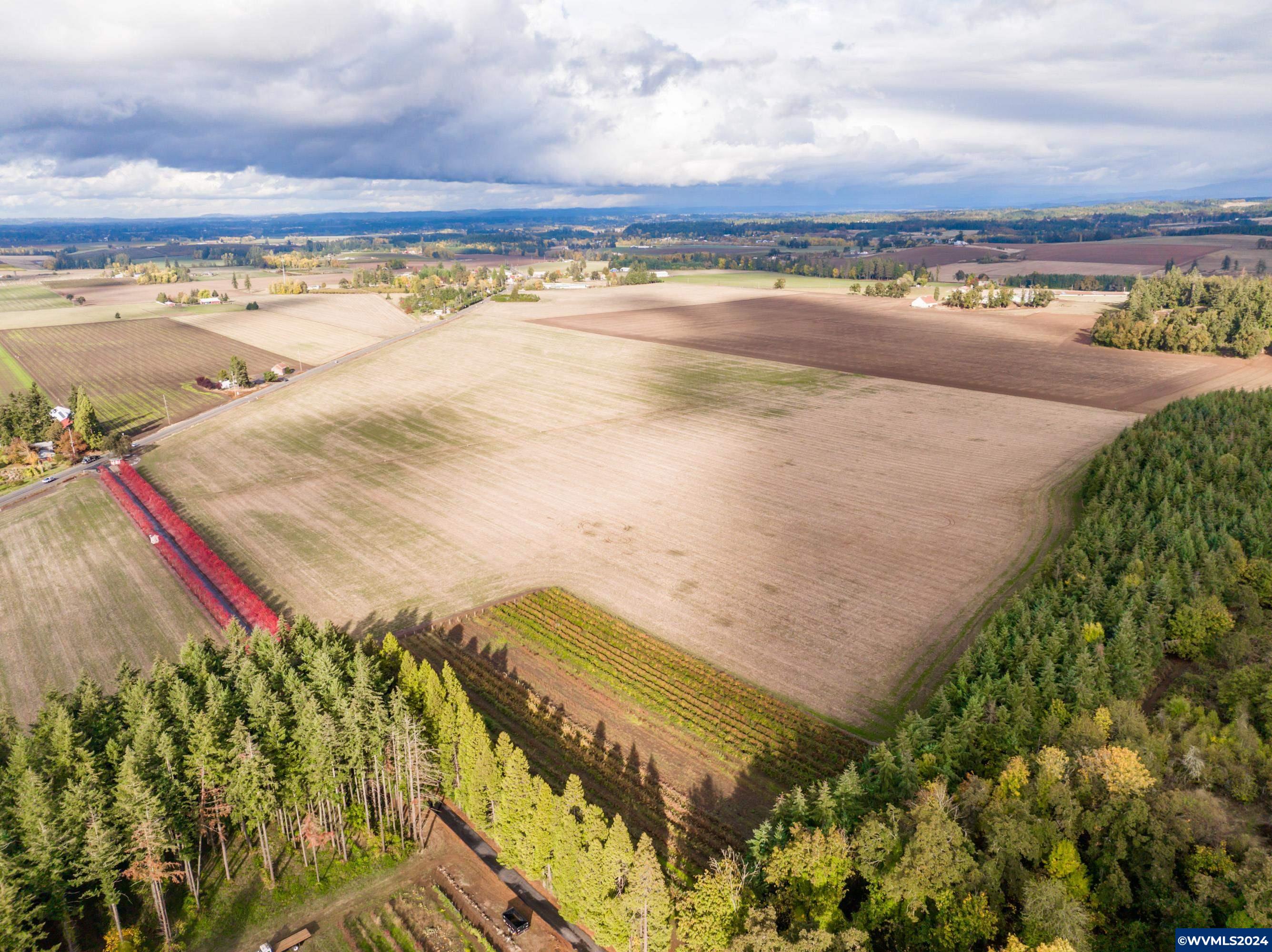 Mt Angel, Oregon 97362, United States, ,Land,Active,37341