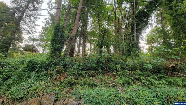 306 4TH AVE, OREGON CITY, OR 97045 - Image dd3a6f3a88ccb19dc2605b514edd0294/1276513644