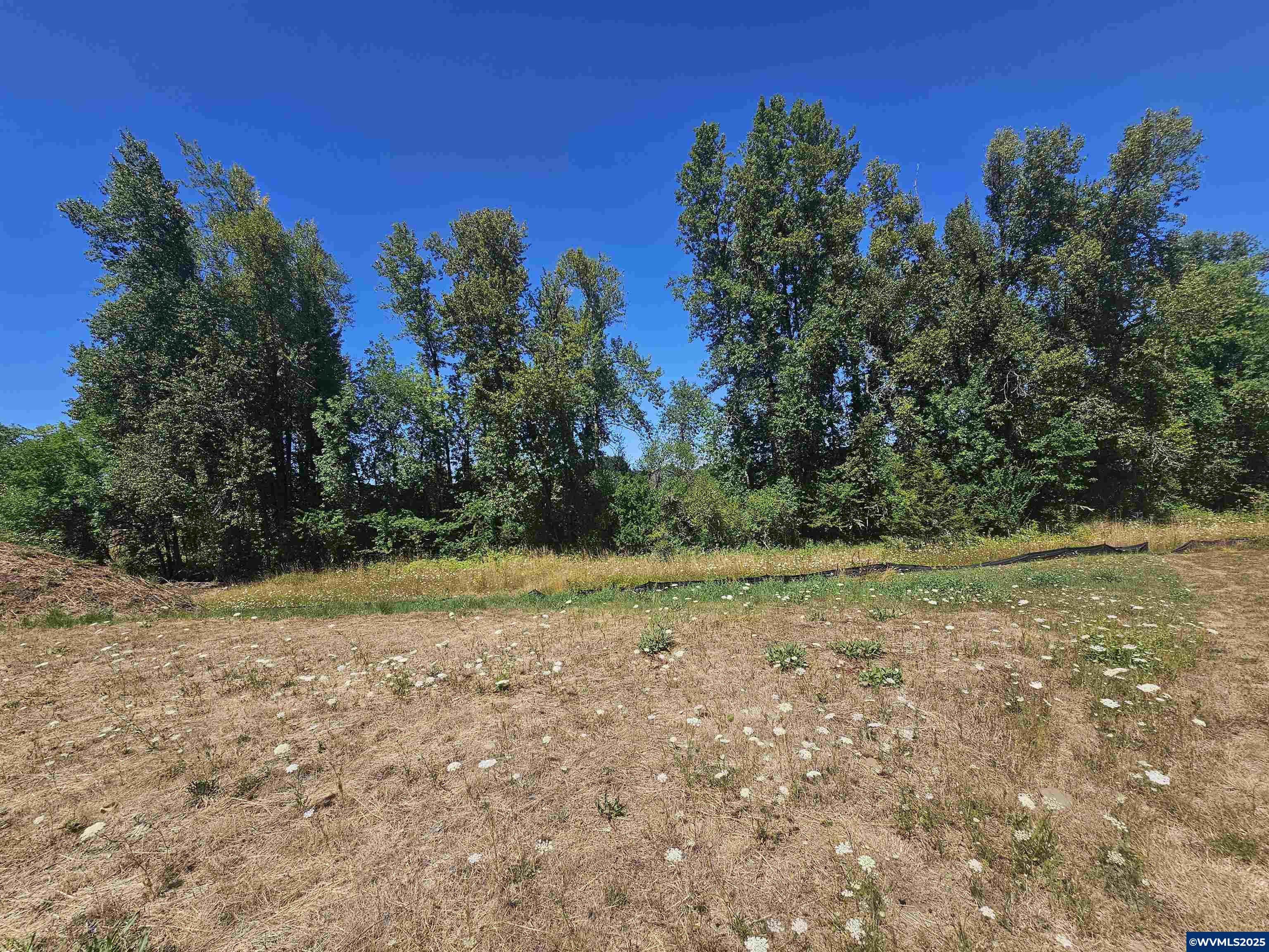 494 SW Oregon Falls Dr