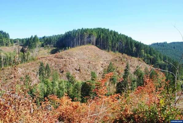 VAN HORN RD, ALSEA, OR 97324 - Image e52f2b3c730559cad7c2a4afcd3f974d/3990342449