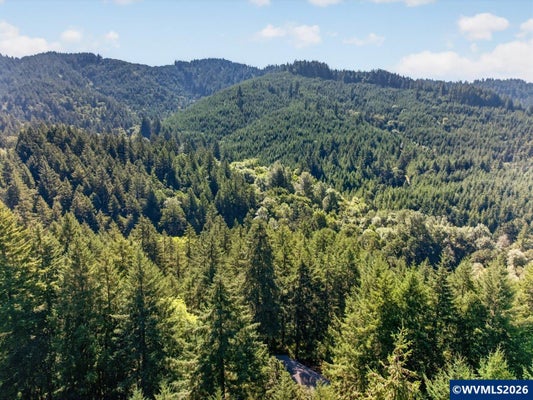 PLEASANT VIEW DR, PHILOMATH, OR 97370 - Image e6bfdd753ac400ef92bdf06bf1fd6461/2164392982