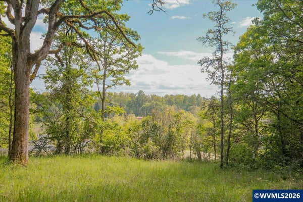 NW KOUNS DR, ALBANY, OR 97321 - Image e7a1df74486be69d82f67095dbbb0c2e/1153576515