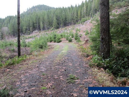 QUARTZVILLE DR, FOSTER, OR 97345 - Image e7d0cf292eec8a7b935b69987bcb78b6/370511002
