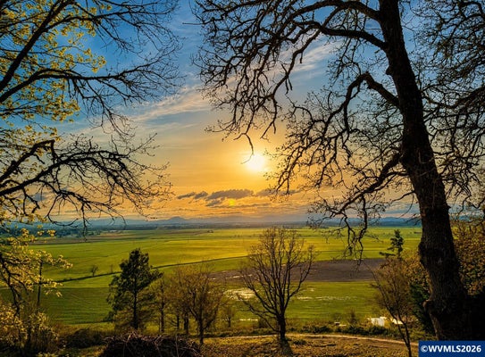29015 BROWNSVILLE RD, BROWNSVILLE, OR 97327 - Image e92ea58e700e1ea73055cea0677ecdc6/356362942