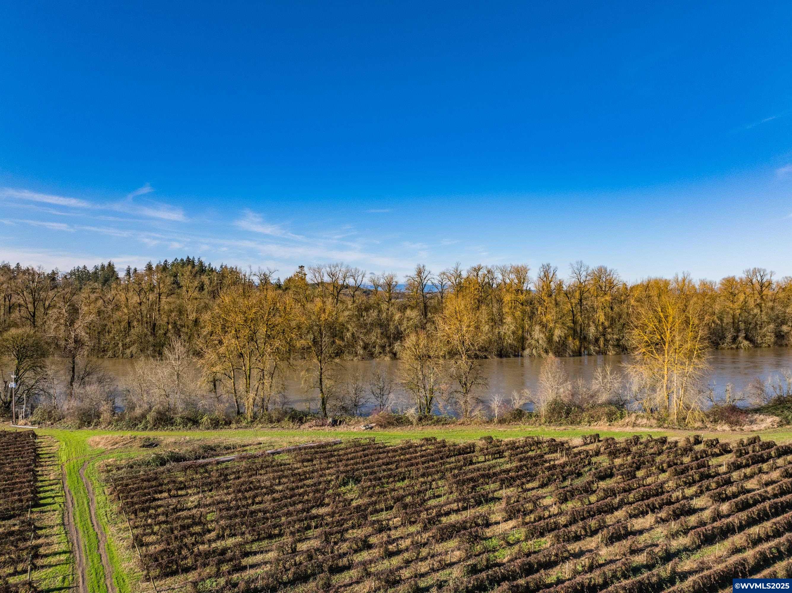 Jefferson, Oregon 97352, United States, ,Land,Pending,8798