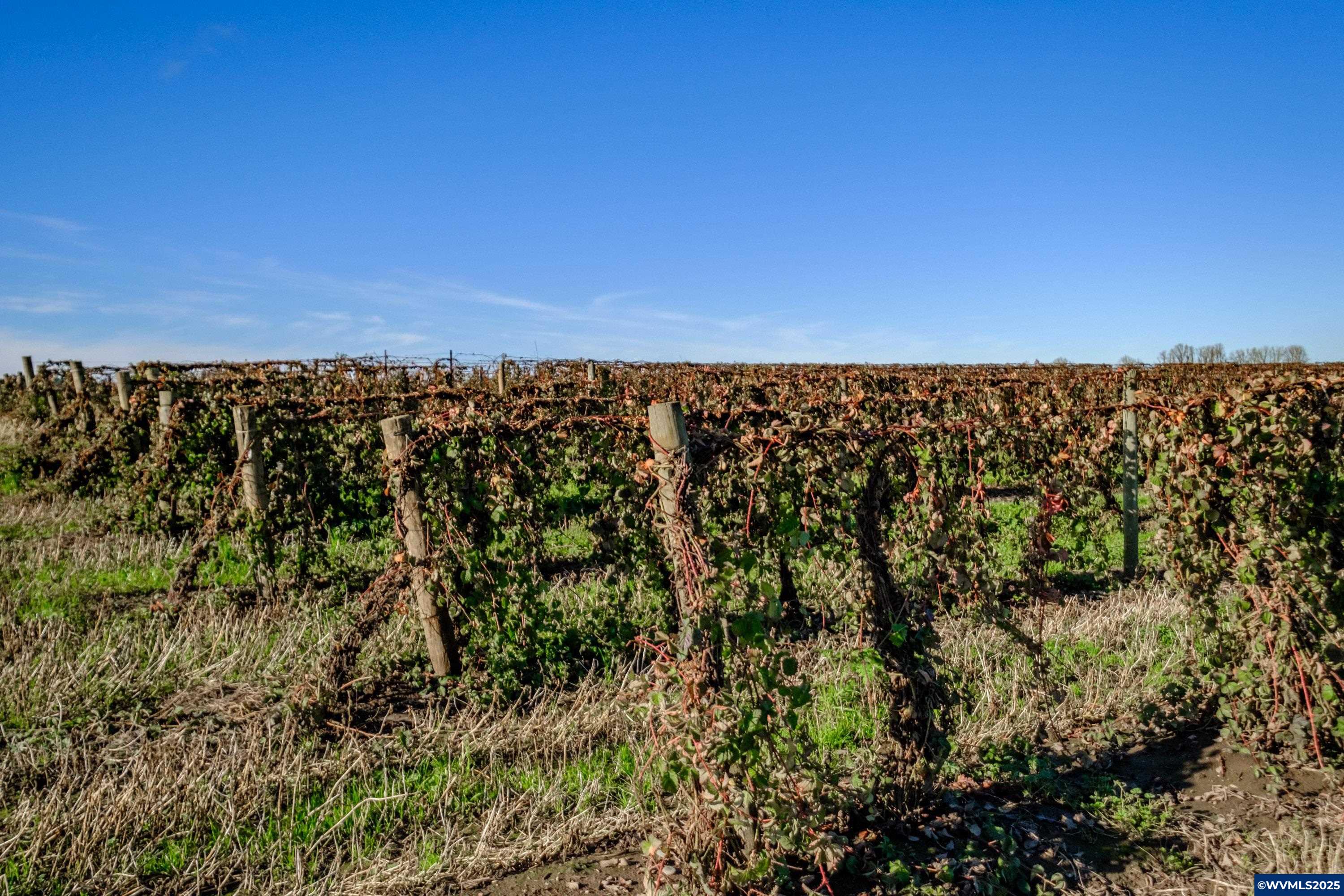 Jefferson, Oregon 97352, United States, ,Land,Pending,8798