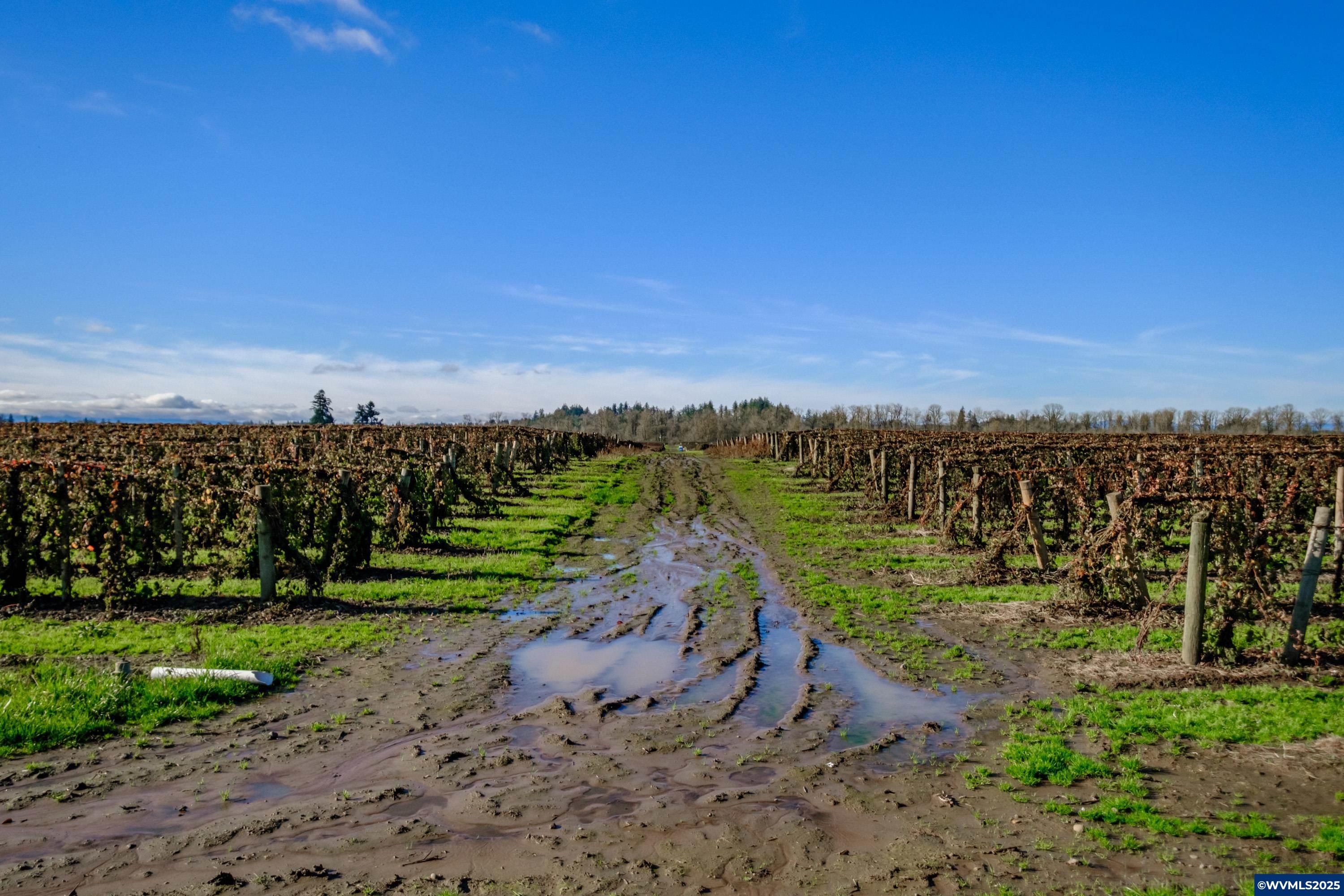 Jefferson, Oregon 97352, United States, ,Land,Pending,8798