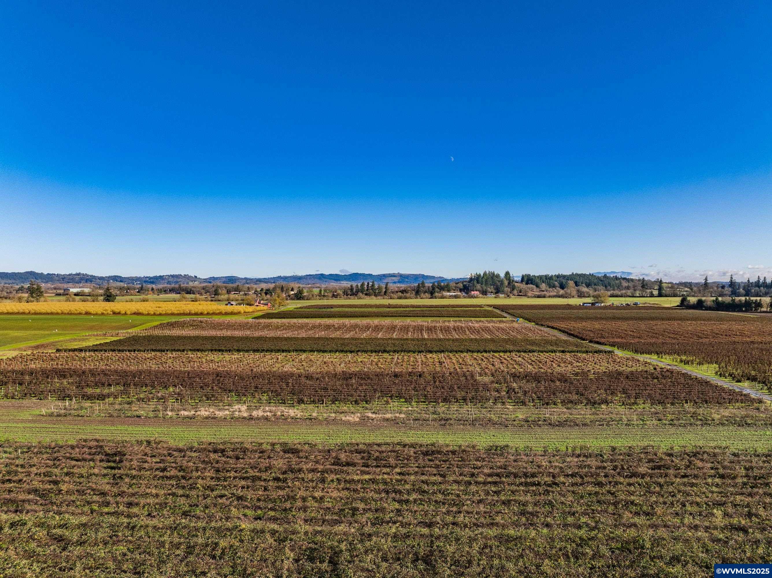 Jefferson, Oregon 97352, United States, ,Land,Pending,8798