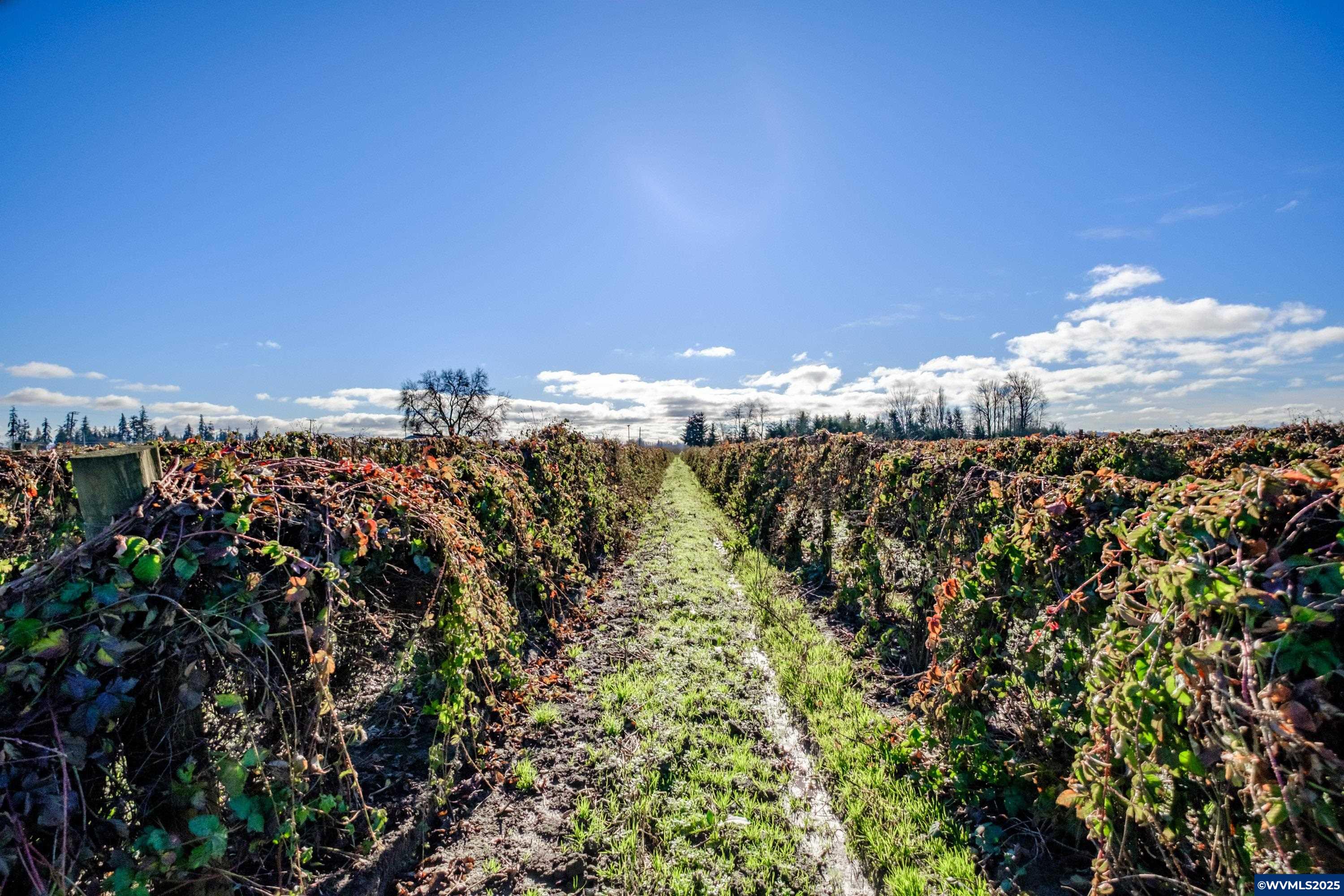 Jefferson, Oregon 97352, United States, ,Land,Pending,8798