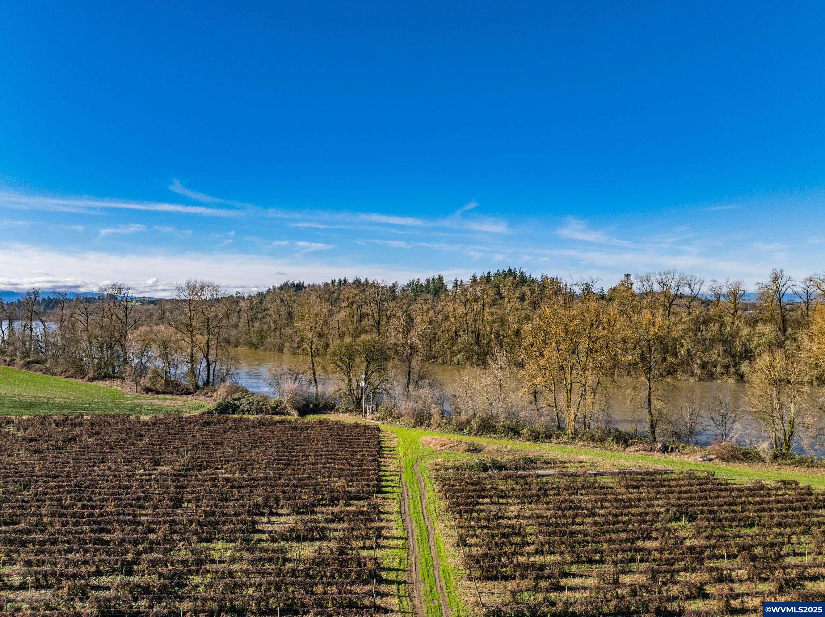 Jefferson, Oregon 97352, United States, ,Land,Pending,8798