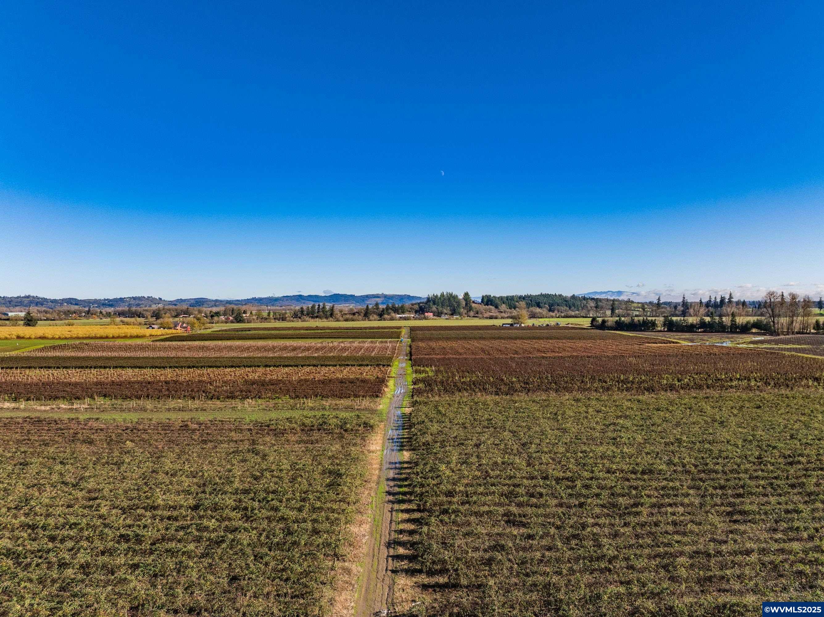 Jefferson, Oregon 97352, United States, ,Land,Pending,8798