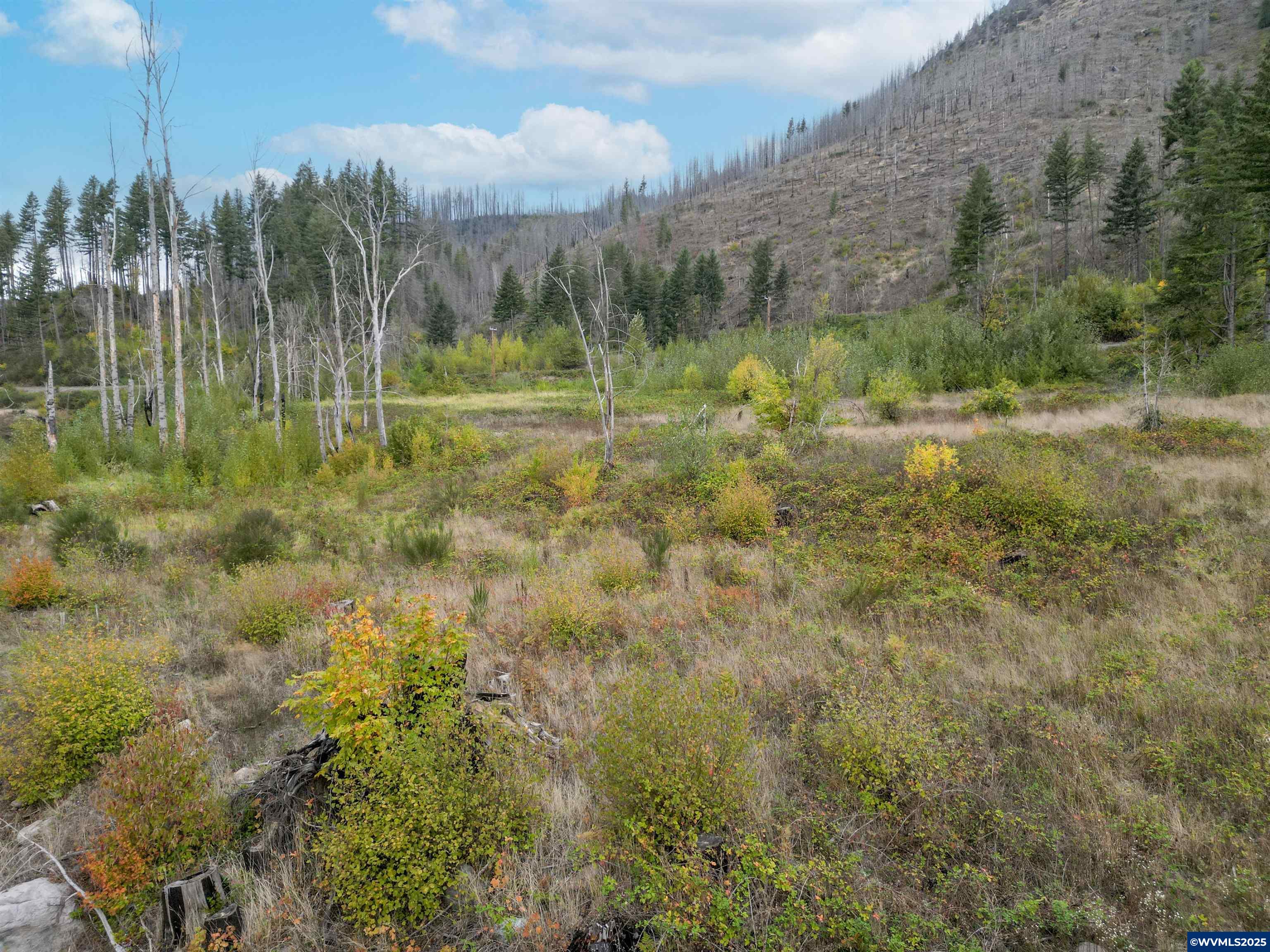 35220 North Santiam Hwy SE