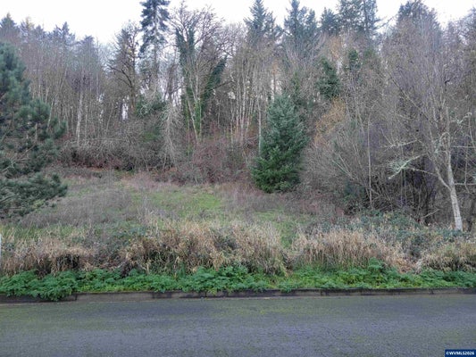 2458 MORROW CT NW, SALEM, OR 97304 - Image f1e9ff545c9b1d95c3fcd37e5d5ade8b/4035690747
