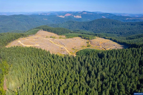 ADDRESS PRIVATE, BEAVER, OR 97108 - Image fcc06eb0570ec6ceefd5a8beeba00dfe/1551939678